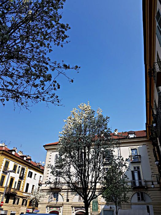10.2023: Stefania Origlia - torino (to)